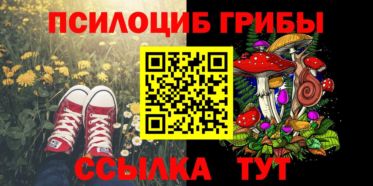 Зима  Галлюциногенные грибы Cubensis  Вход с VPN  Псилоцибиновые грибы Psilocybine cubensis 